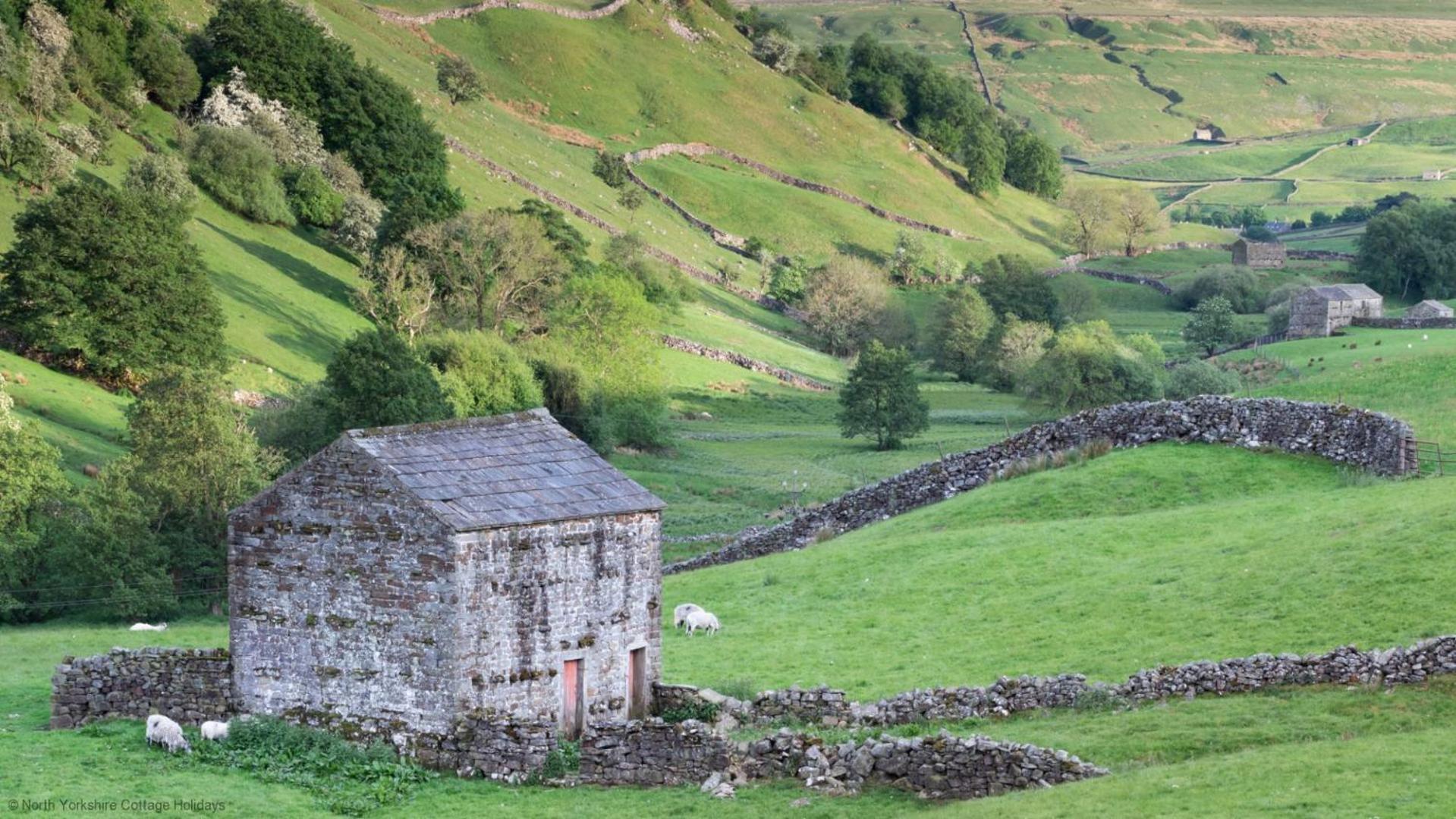 Stone Cottage In Picturesque North Yorkshire Village - Bull Dog Cottage Ampleforth المظهر الخارجي الصورة